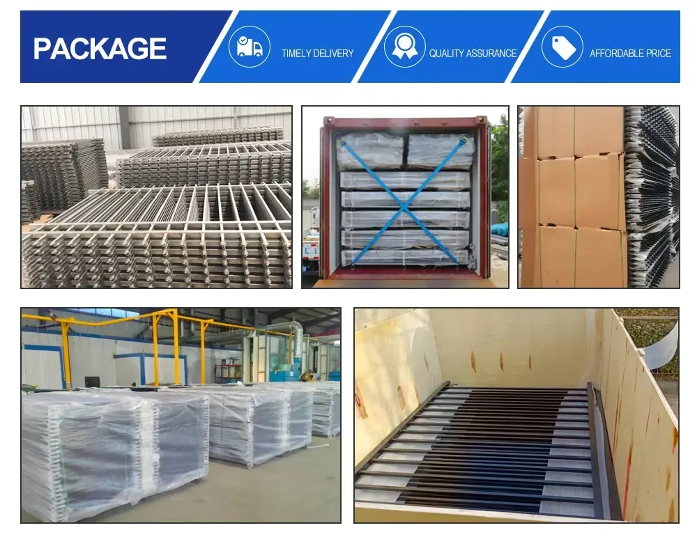Finished Products & Export Phase