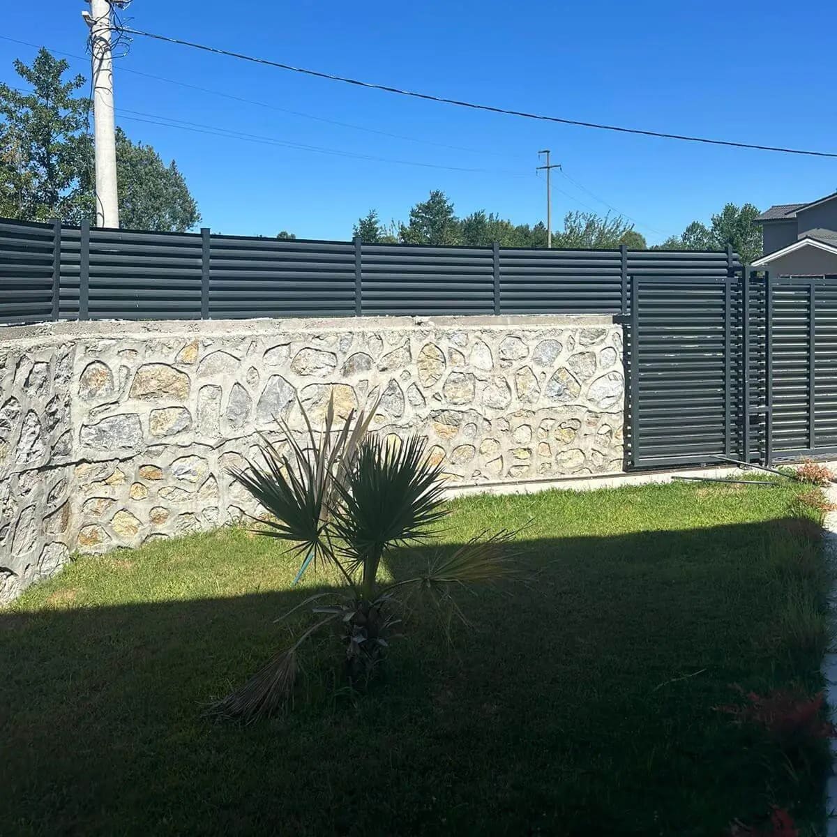 Private courtyard with modern outdoor privacy screen and planting